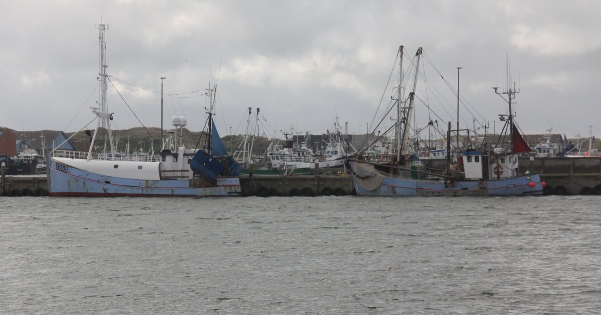 Spot de Hvide Sande