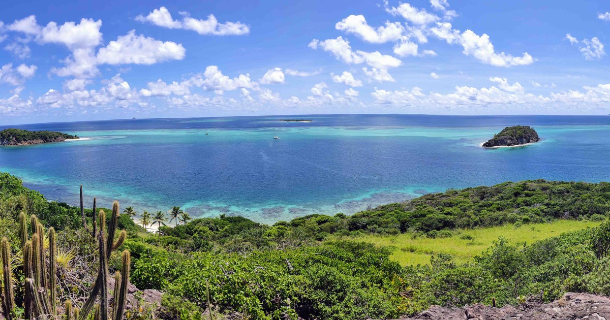 Spot de Grenadines · Tobago Cays
