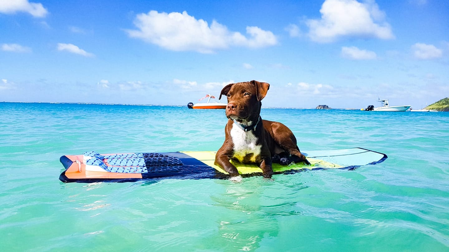 Copains sur place - Spots de saint martin kite, wing, surf