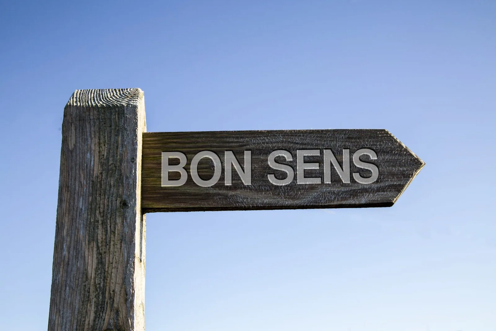 As 8 regras essenciais de bom senso | por Matthieu Giovanetti | Essencial | Medium