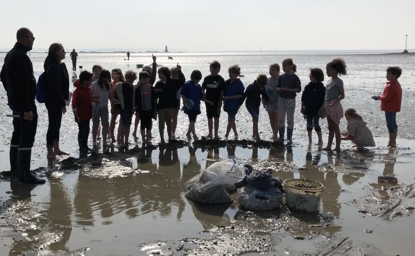 Protect Your Beach” Action on June 5th at La Govelle