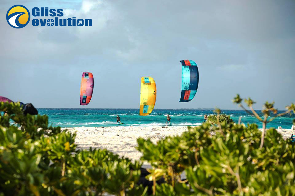 Kite Duotone Rebel Dice Neo 2019