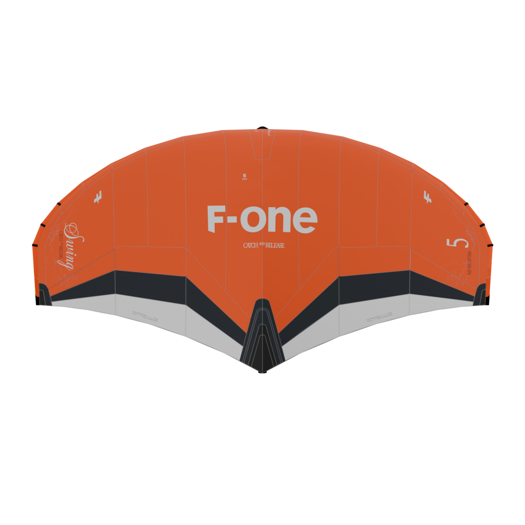F-ONE SWING V5 - vue 2