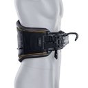 ION HARNESS WAIST KITE SPECTRE 2026 - vue 8